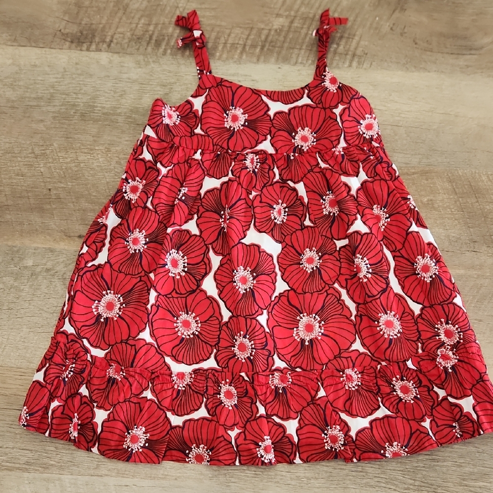 Janie and Jack- The Poppy Park Sundress